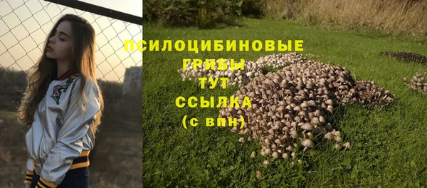 каннабис Михайловка