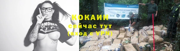 амф Надым