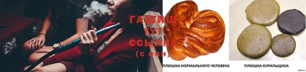 амф Надым