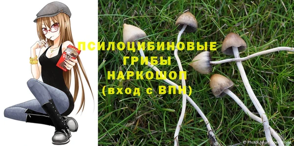 молекула духа Михайловск