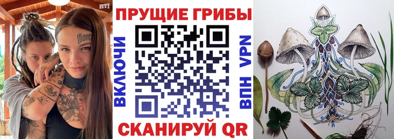 закладка  Слюдянка  Псилоцибиновые грибы ЛСД 